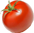 Tomaten